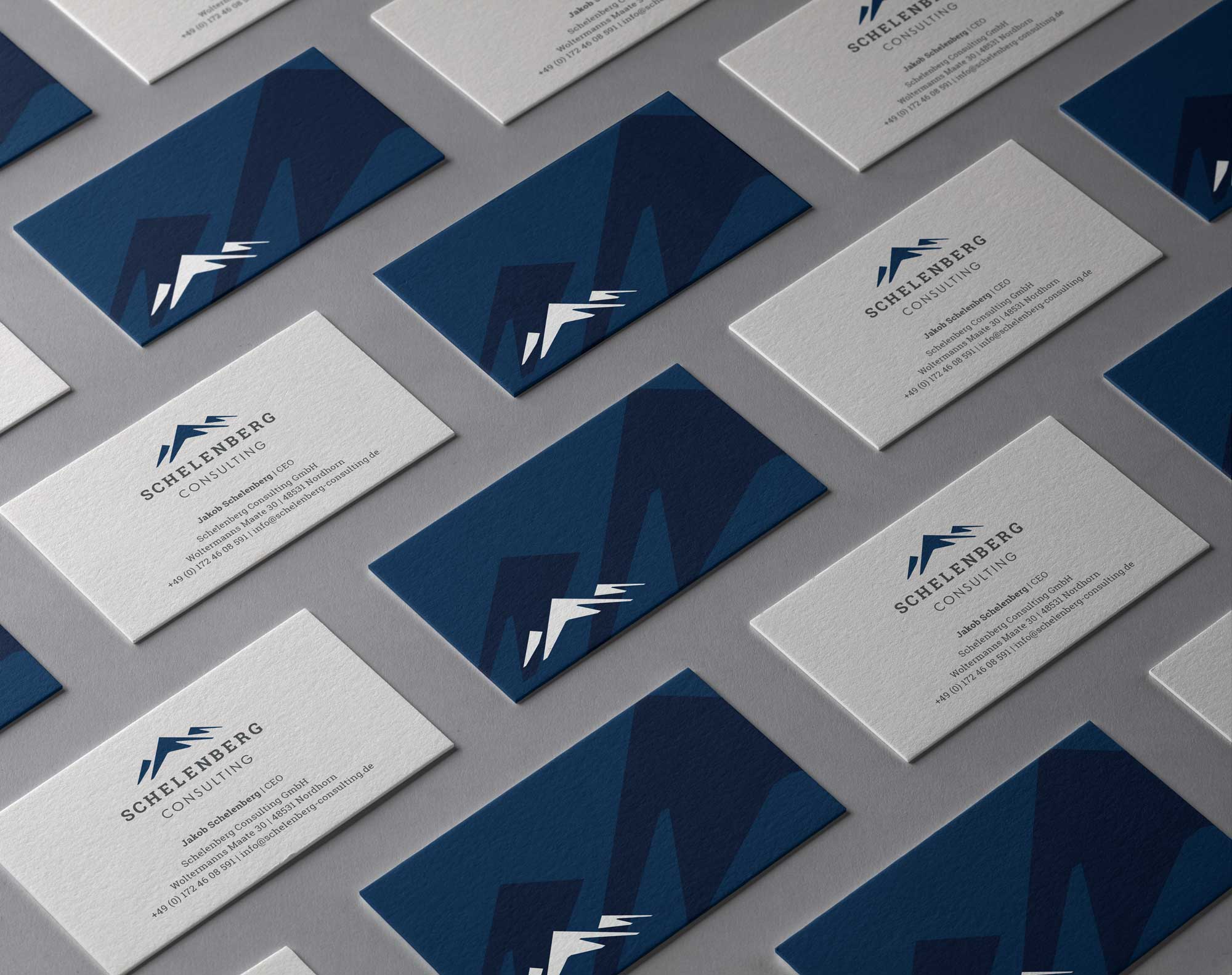 schelenberg_portfolio_1