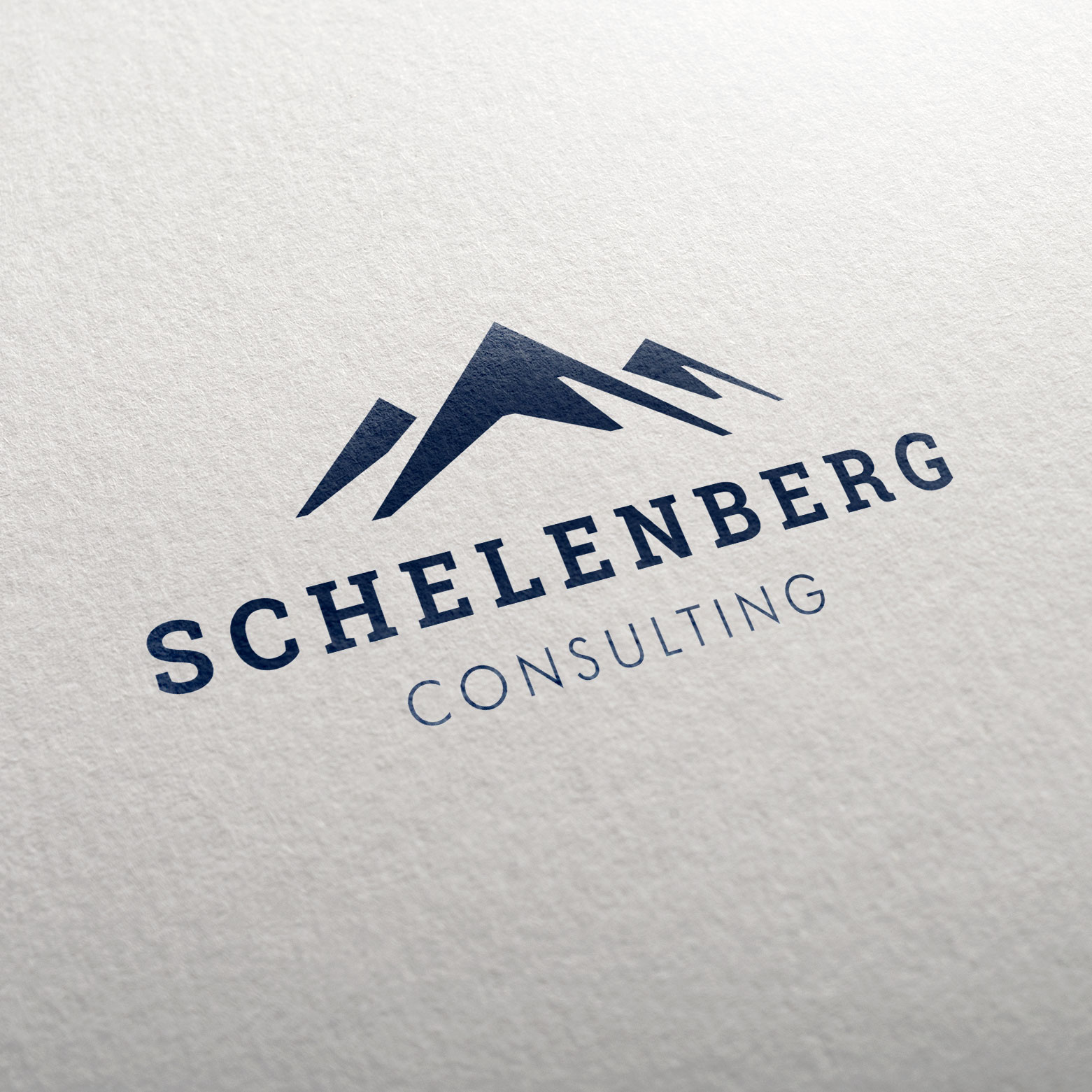 schelenberg | consulting