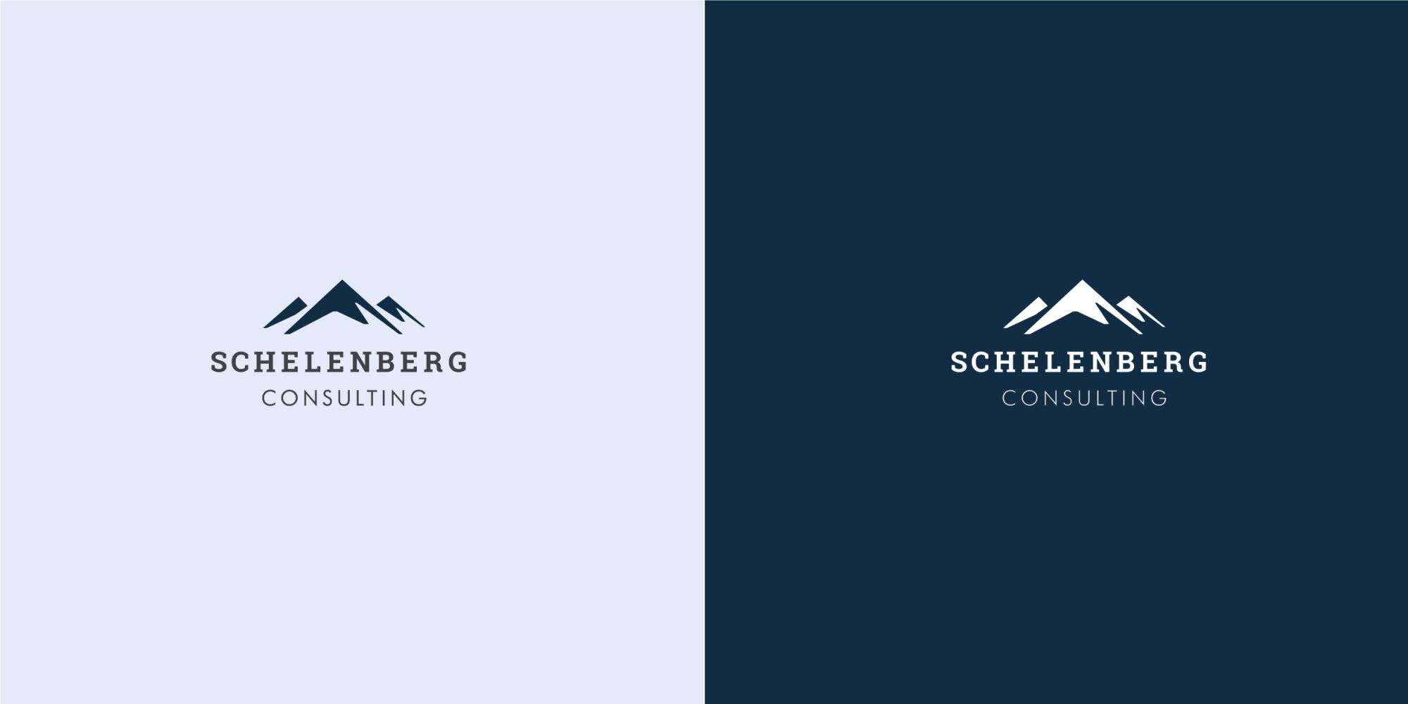 schelenberg_portfolio_4-02